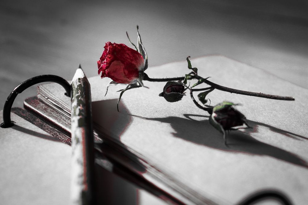 Photograph by Дмитрий Фадеев