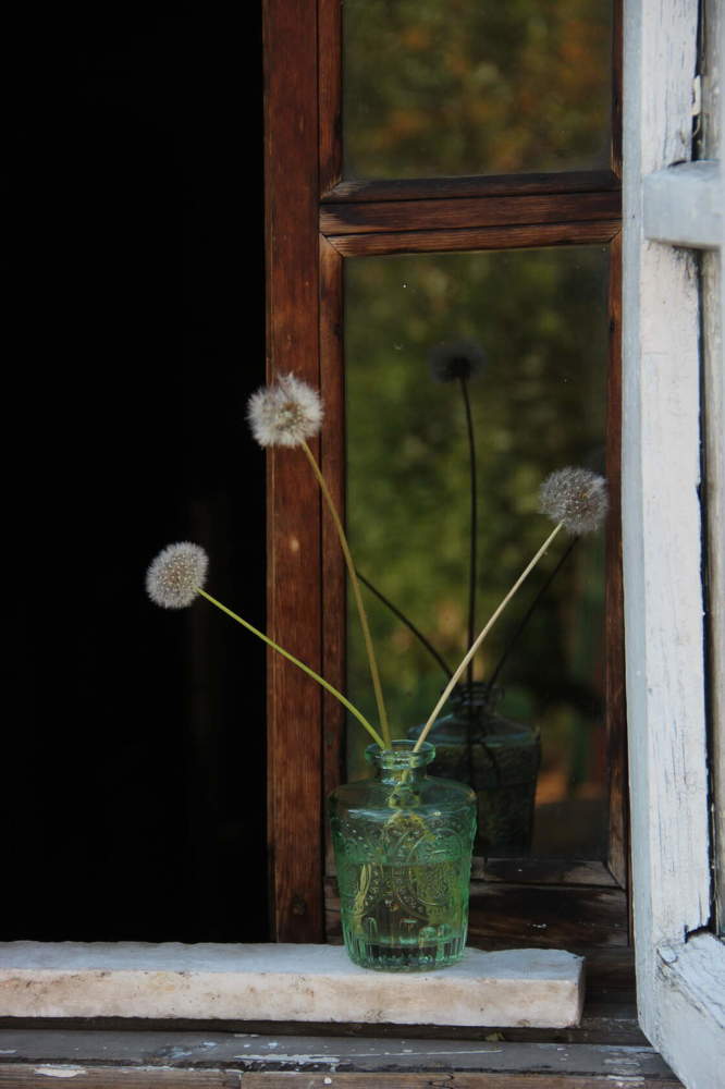 Photograph by Алина