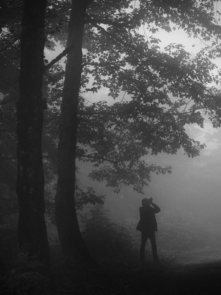 Photograph by Farid Ataei