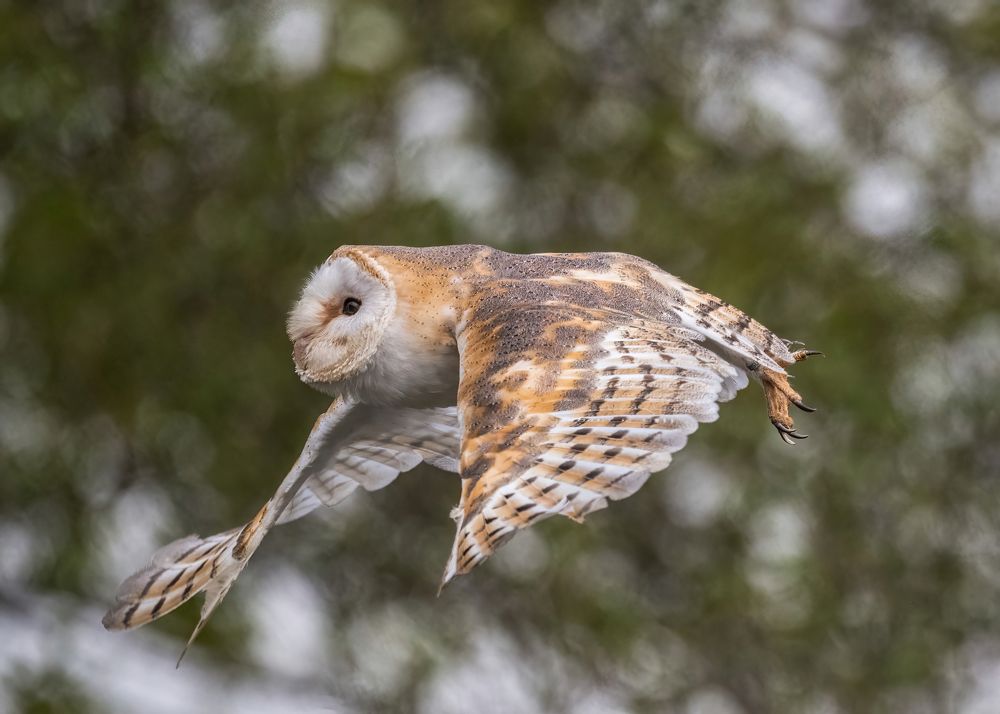 Photograph by NUR AZIMAH THERESA ABDULLAH