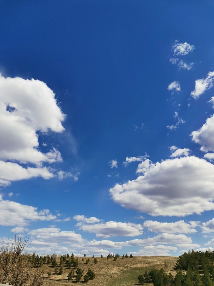 Фотография автора Юлия Лубкина