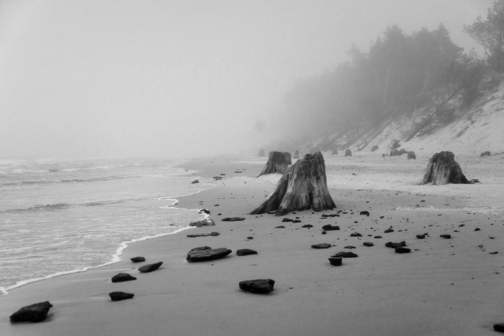 Photograph by Klejnot Grzegorz