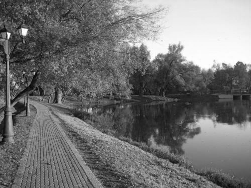 Photograph by Надежда Зайцева