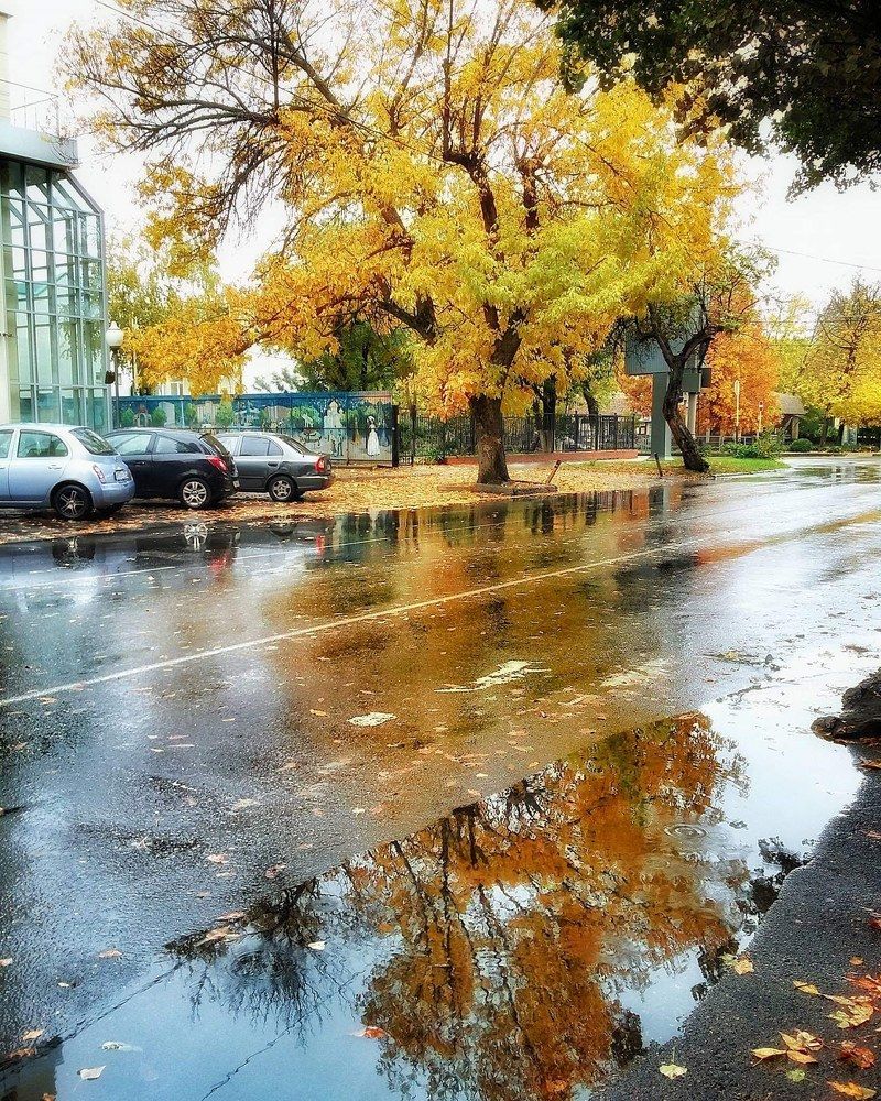 В Краснодаре осень