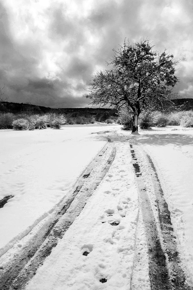 Photograph by Олеся