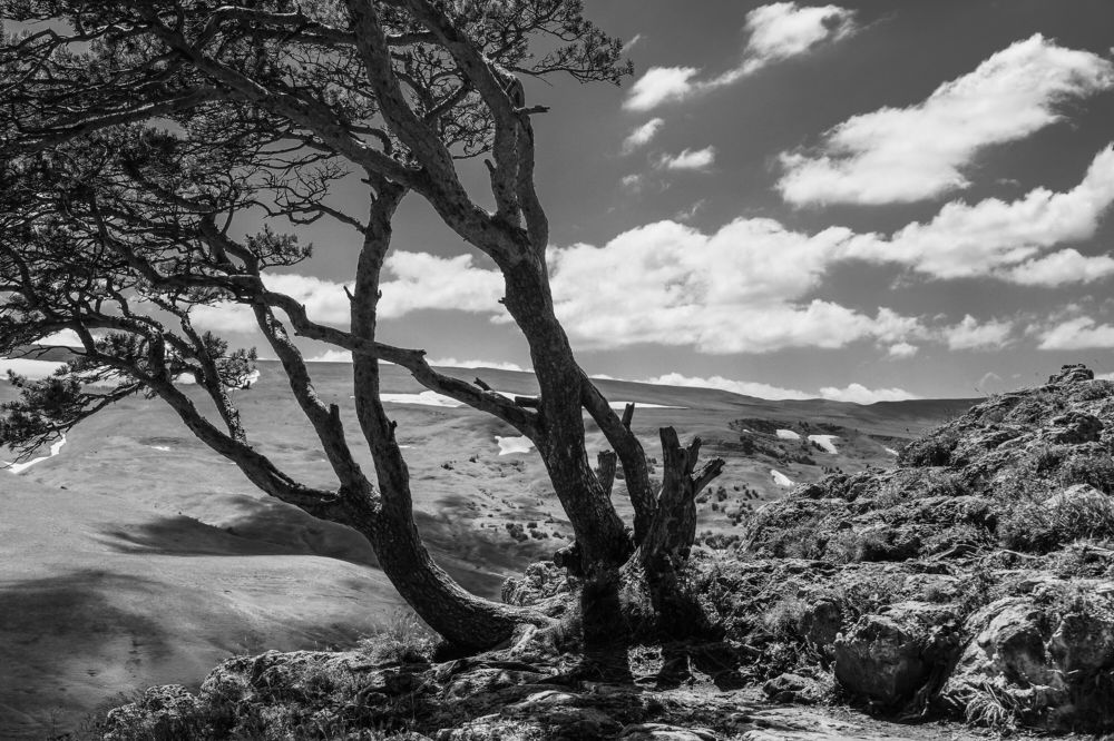 Фотография автора Вадим Коваленко