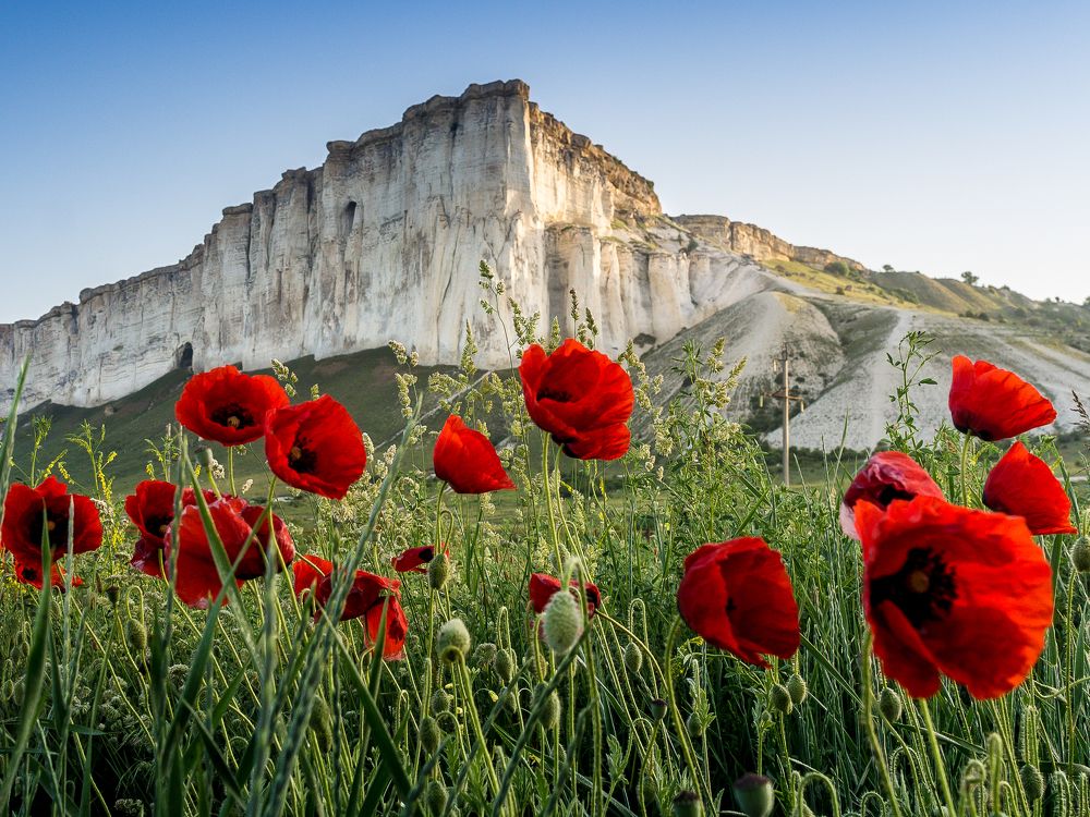 Весна в Крыму. Белая Скала
