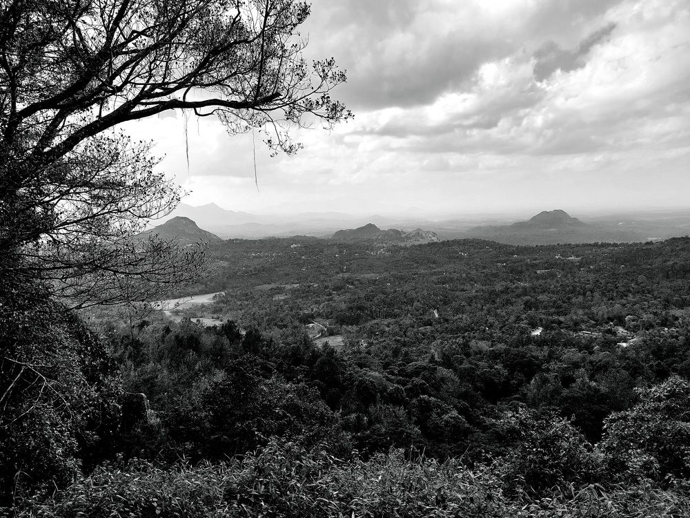 Lonely Mountains