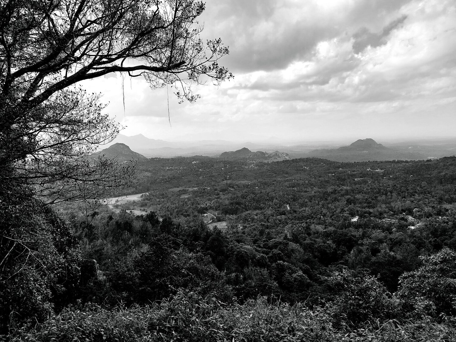 Lonely Mountains