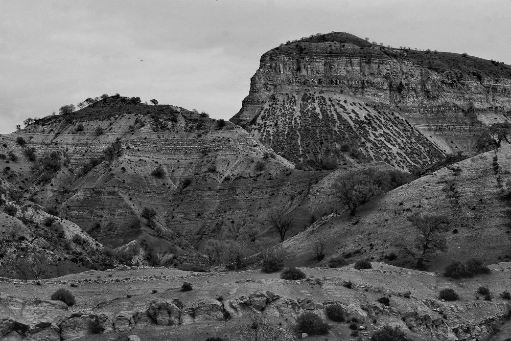 Photograph by Marziyeh Nasiri