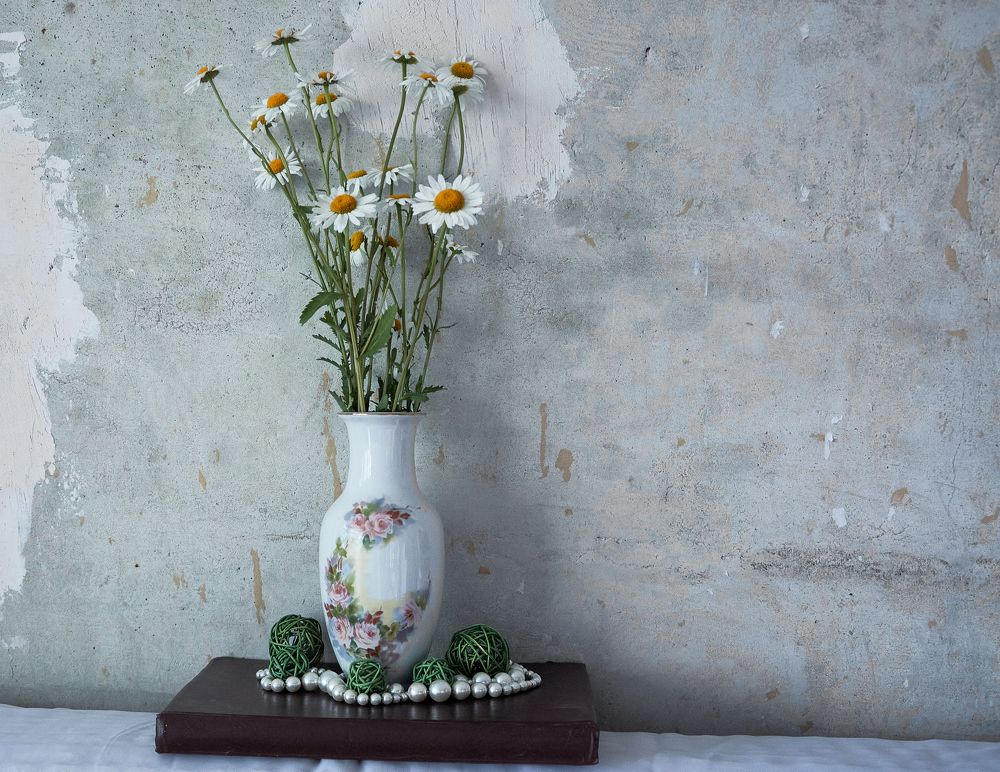 still life with daisies