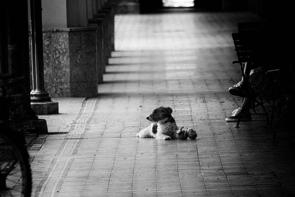 Photograph by Narcis Aurel Mursă