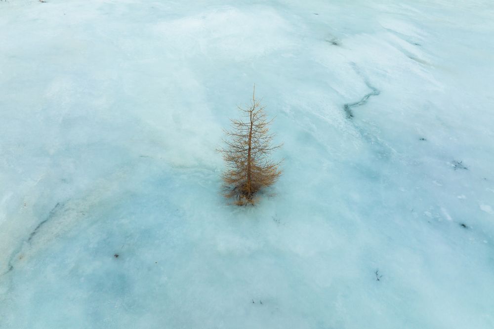 Photograph by Joao Galamba