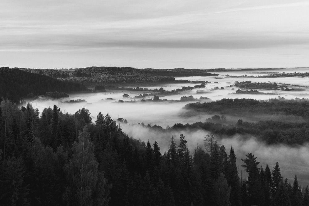 Photograph by Юлия Морозова