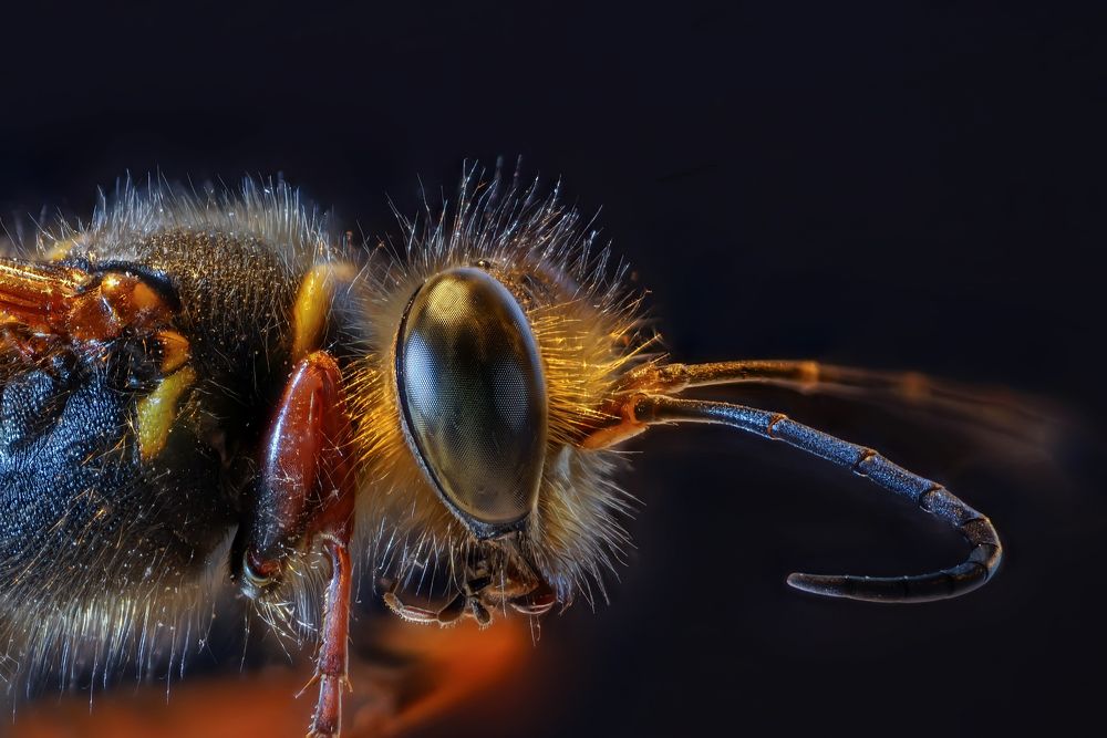 Photograph by Сергей Прокофьев