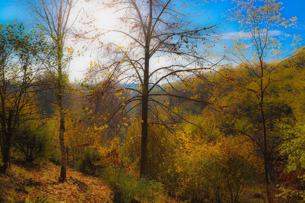 Photograph by Berta Enrico