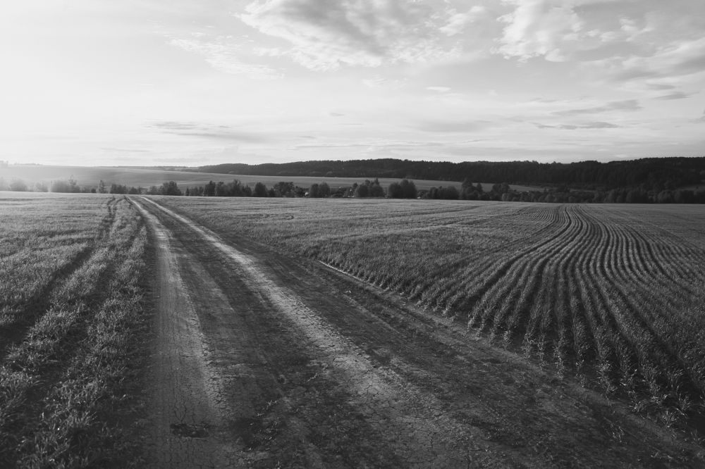 Photograph by Юлия Морозова