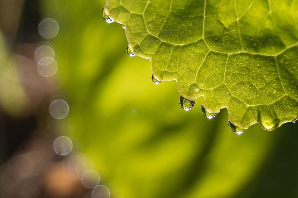 Photograph by Алексей Маевский