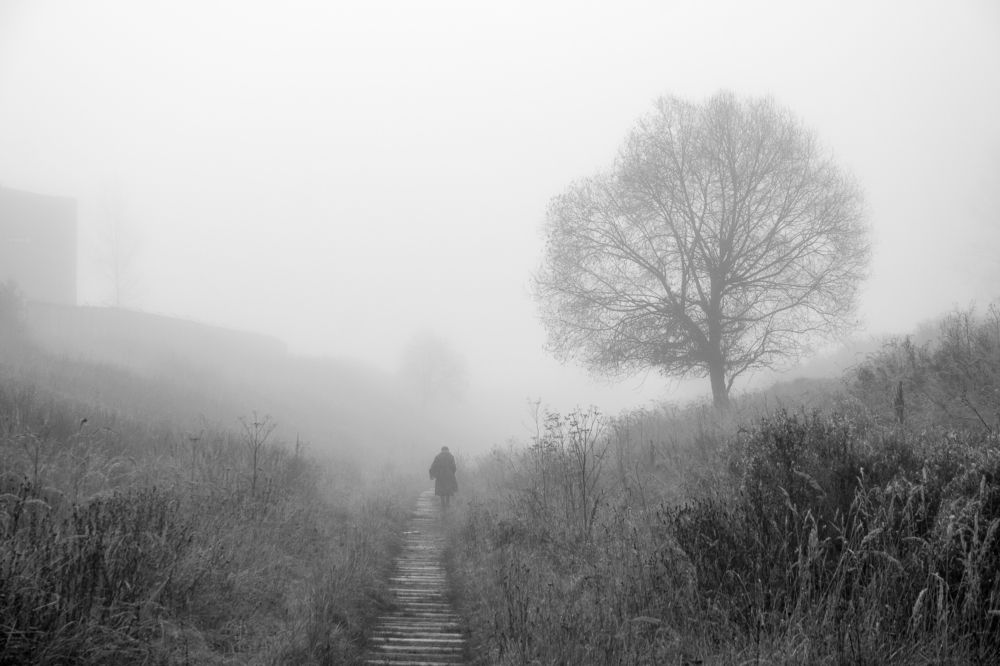 Photograph by Евгений Григорьев