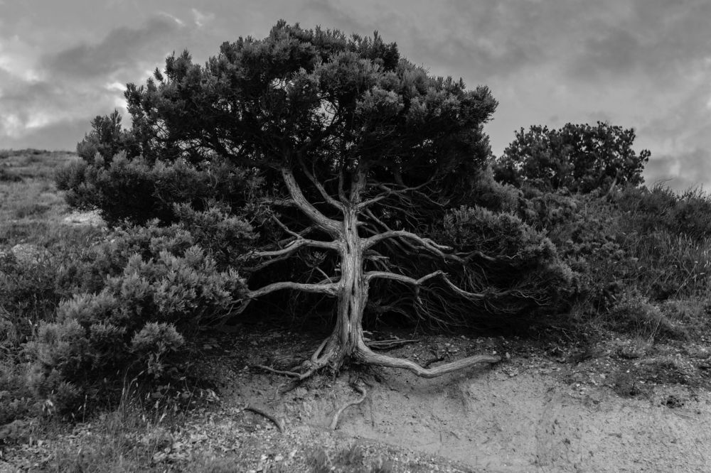 Photograph by Анна Лисина