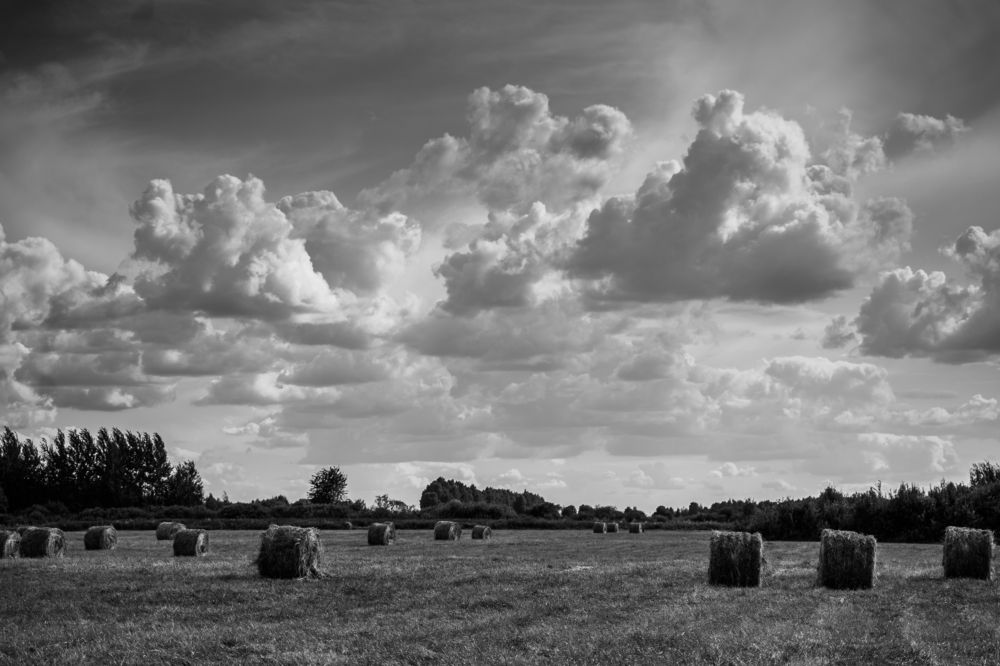 Фотография автора Василиса Новикова