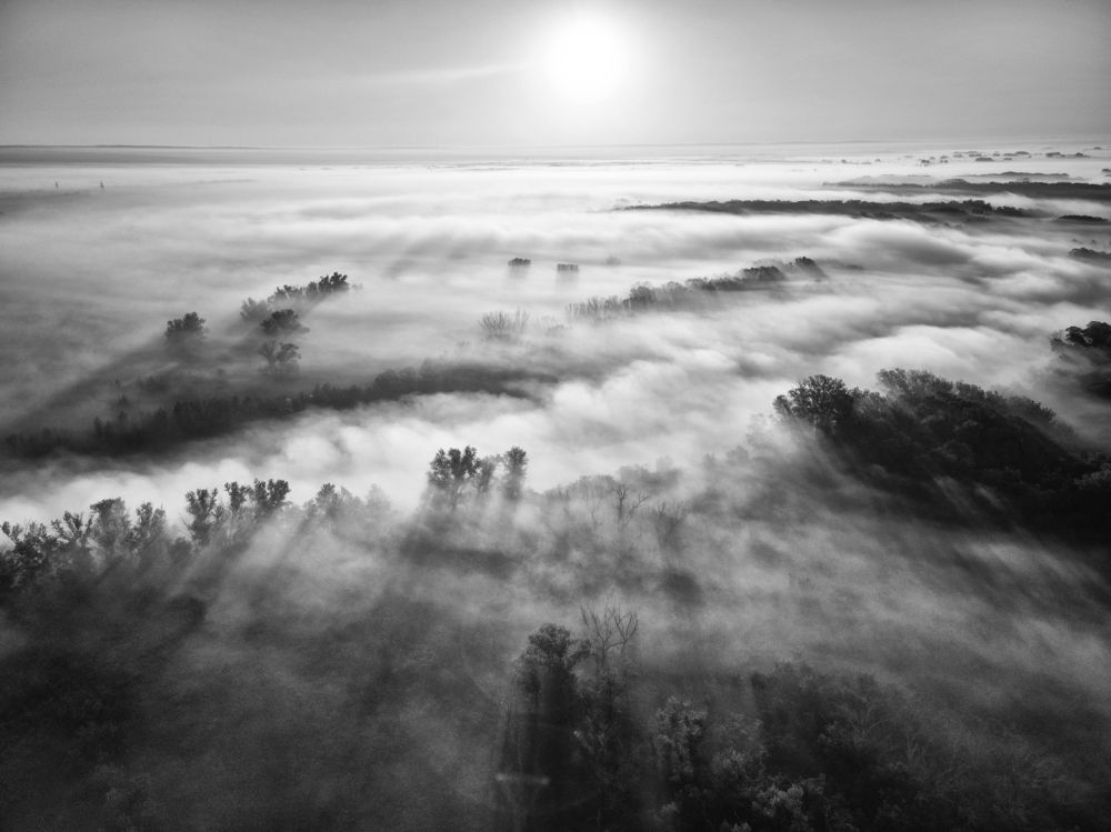 Утренний туман на реке