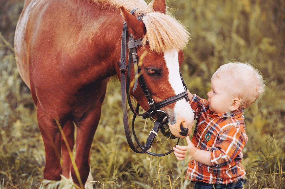 Photograph by Юлия Гусева