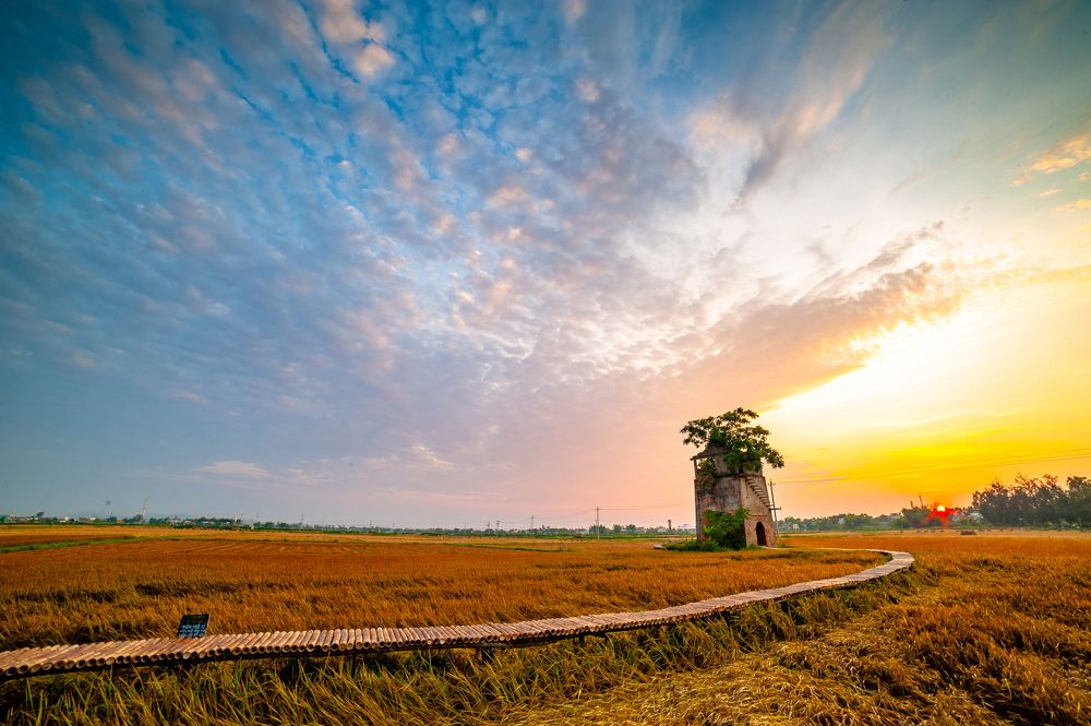 Photograph by Nguyễn Phương