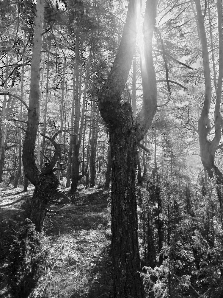 Photograph by Мария Фомичева