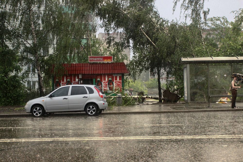 Photograph by Эдуард Шадров