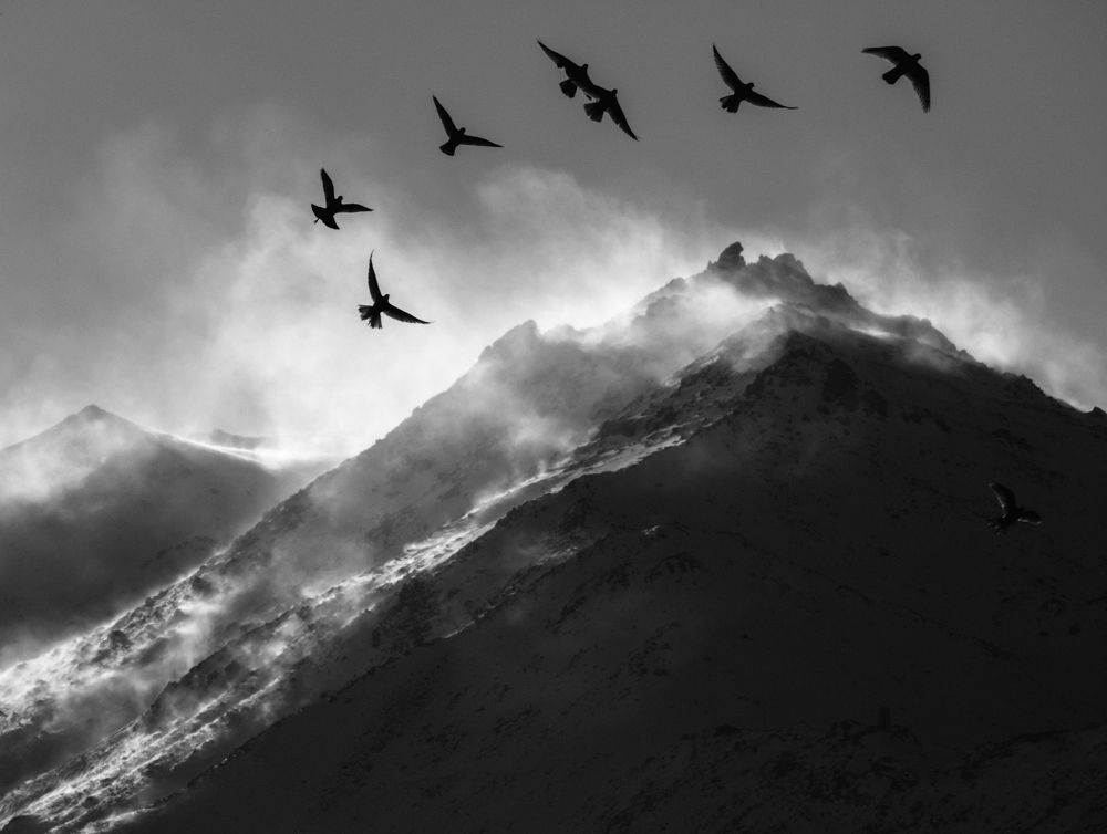 Photograph by Ashkan Bahrami