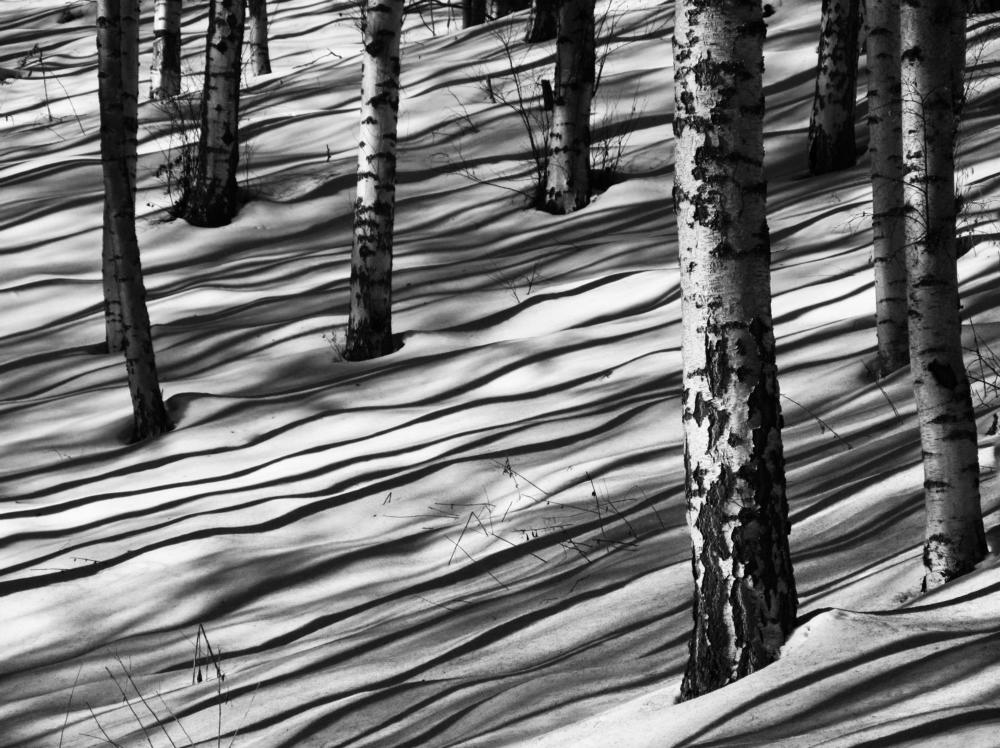 Photograph by Юлия Гурова