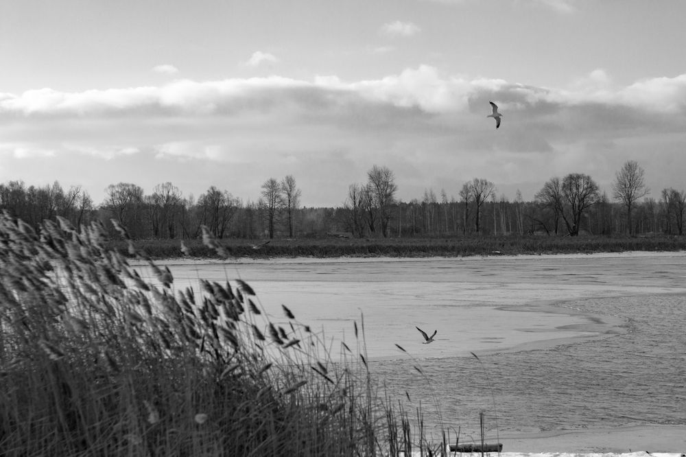 Photograph by Яна Соболева