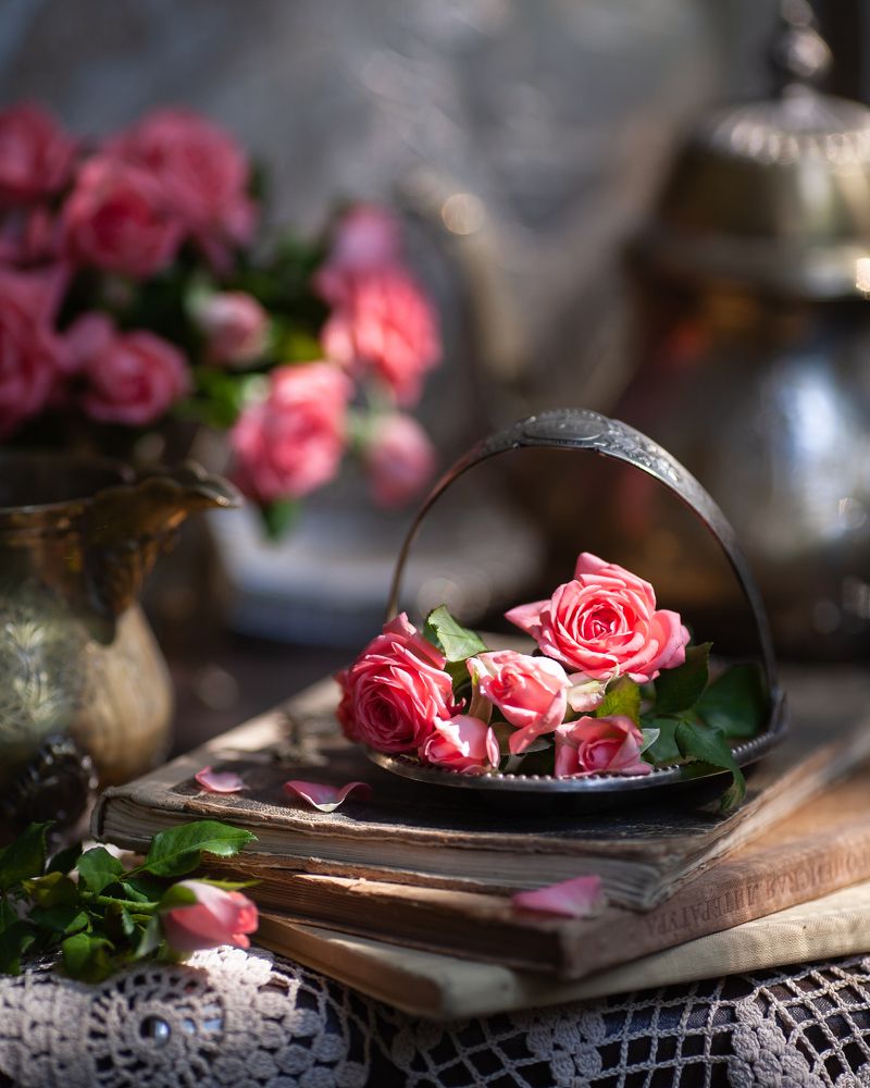 Photograph by Александра Дейкун