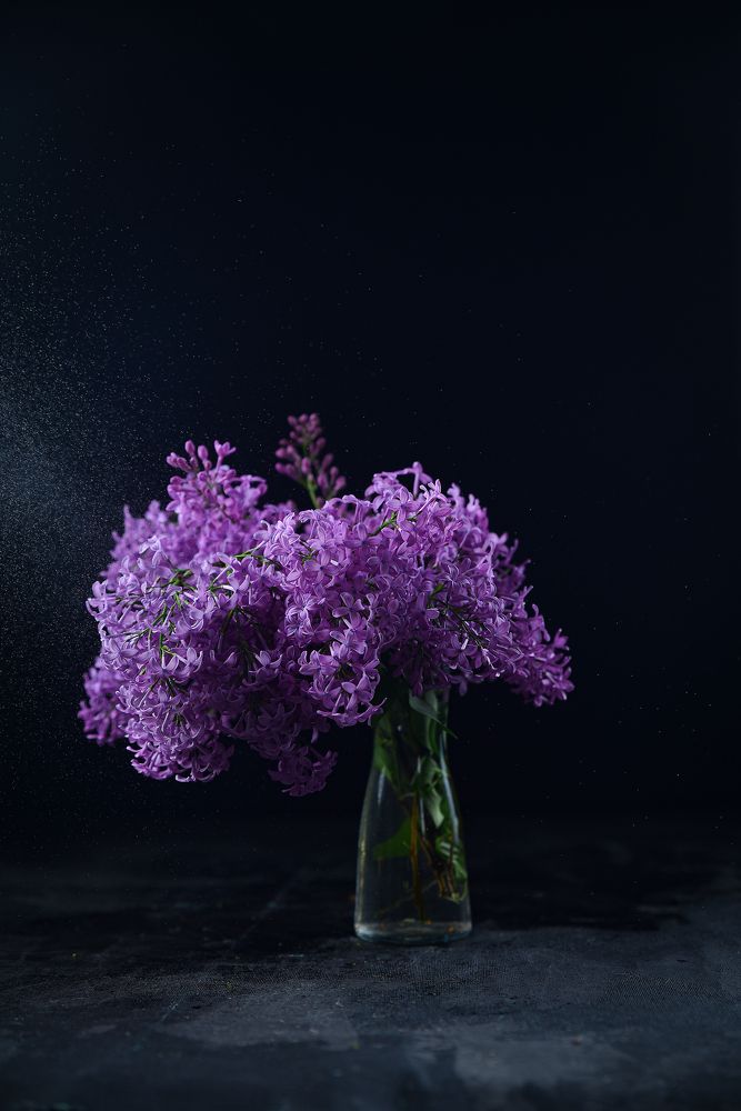 Photograph by Юлия Семенюк