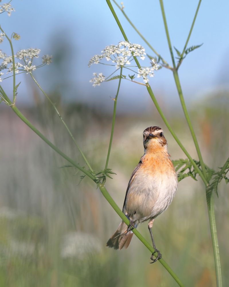 Photograph by Титов Александр