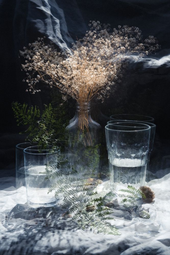 Photograph by Елена Шевченко