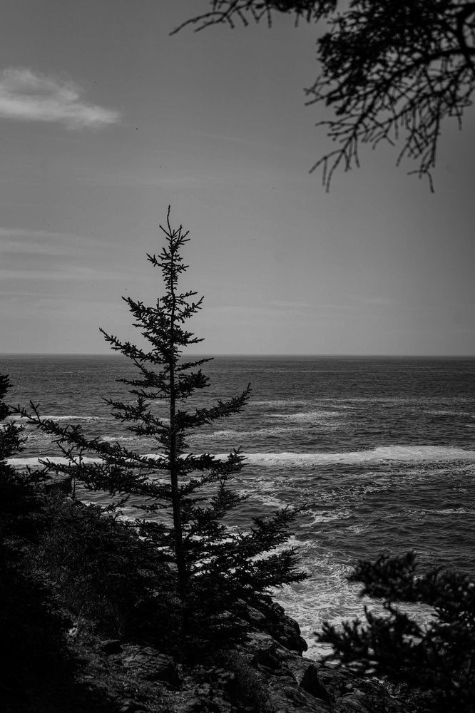 Photograph by Ekaterina Sukhanova