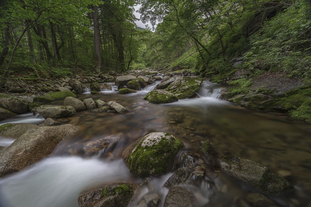 Фотография автора Кузнецов Александр