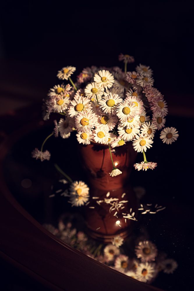 Photograph by Дарья Гурьева