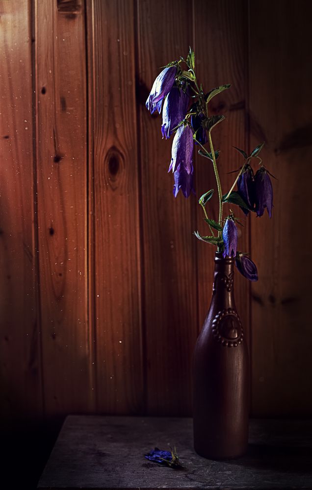 Photograph by Дарья Гурьева