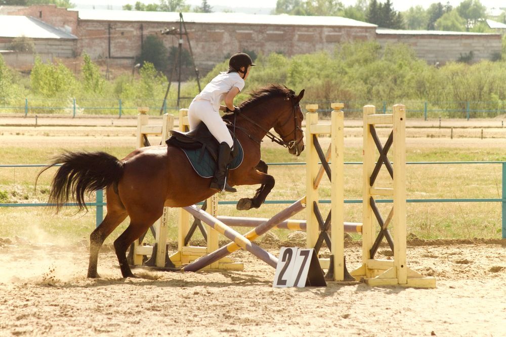 Photograph by Анастасия Полищук