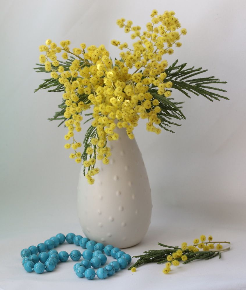 Фотография автора Елена Колосова