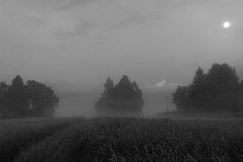 Photograph by Елена Копейкина