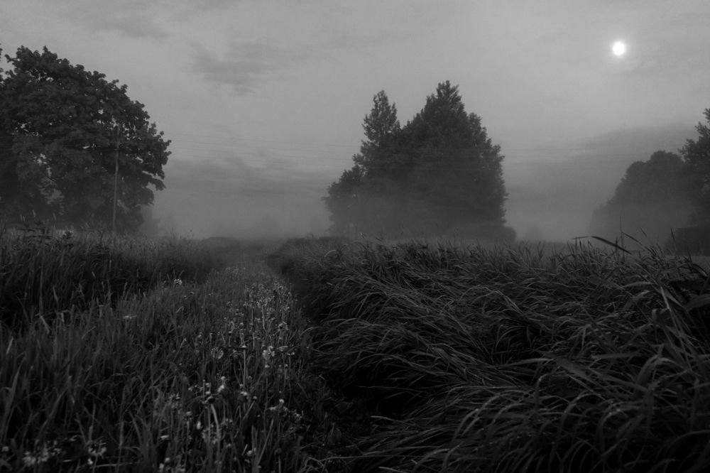 Photograph by Елена Копейкина