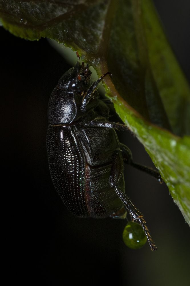 Photograph by Sameer Bhalekar