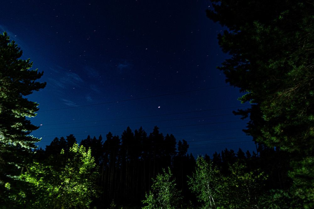 Photograph by Anna Borodina