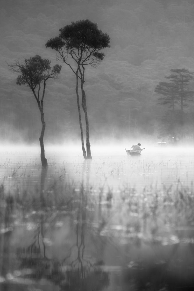 Photograph by Tran Phuong