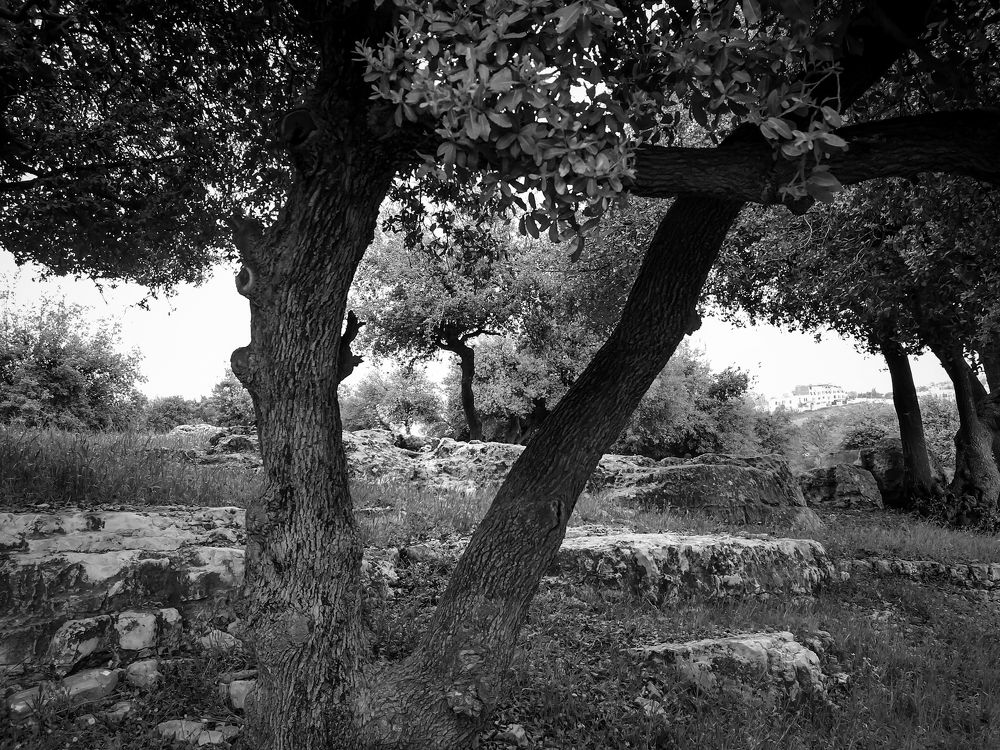 Photograph by Angie Odeh