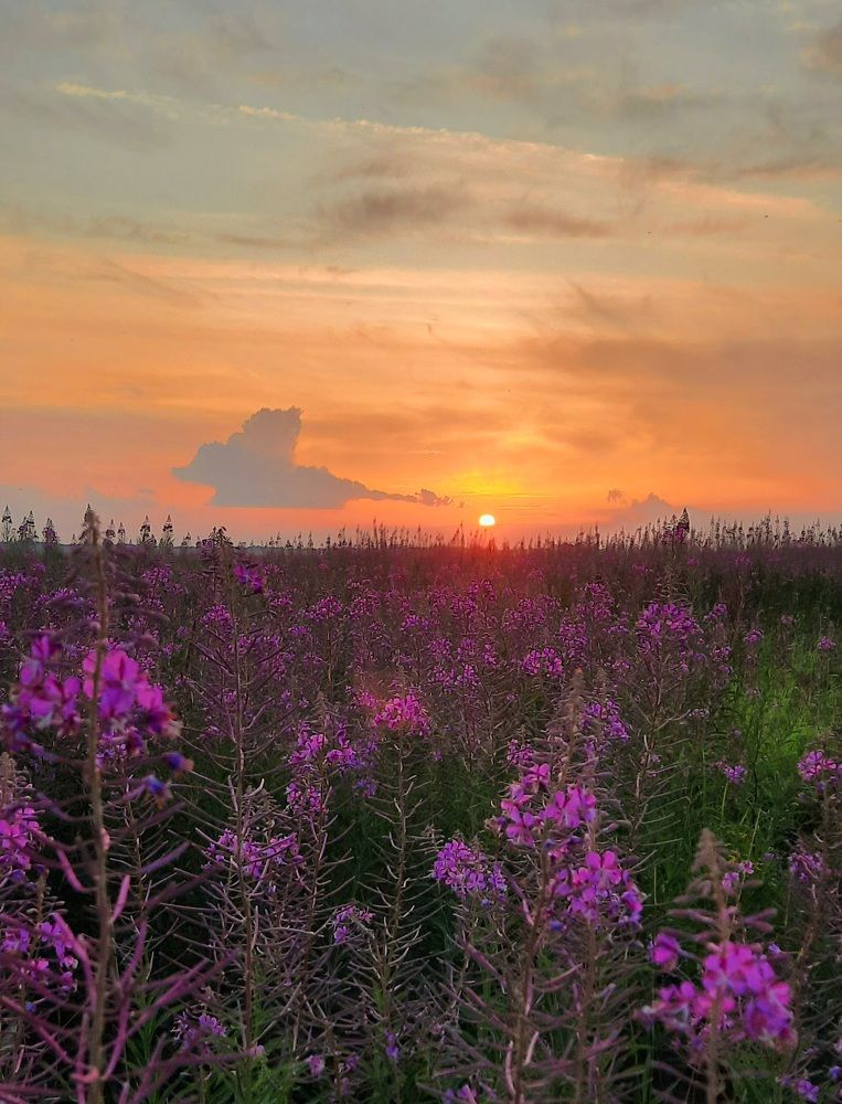 Photograph by Ольга Михайлова